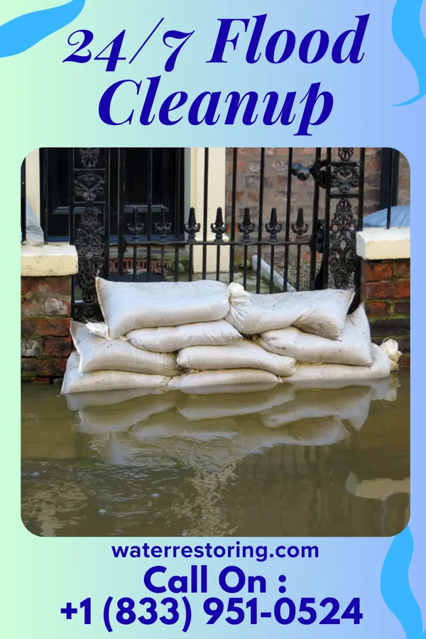 24/7 Flood Cleanup in Niota, TN