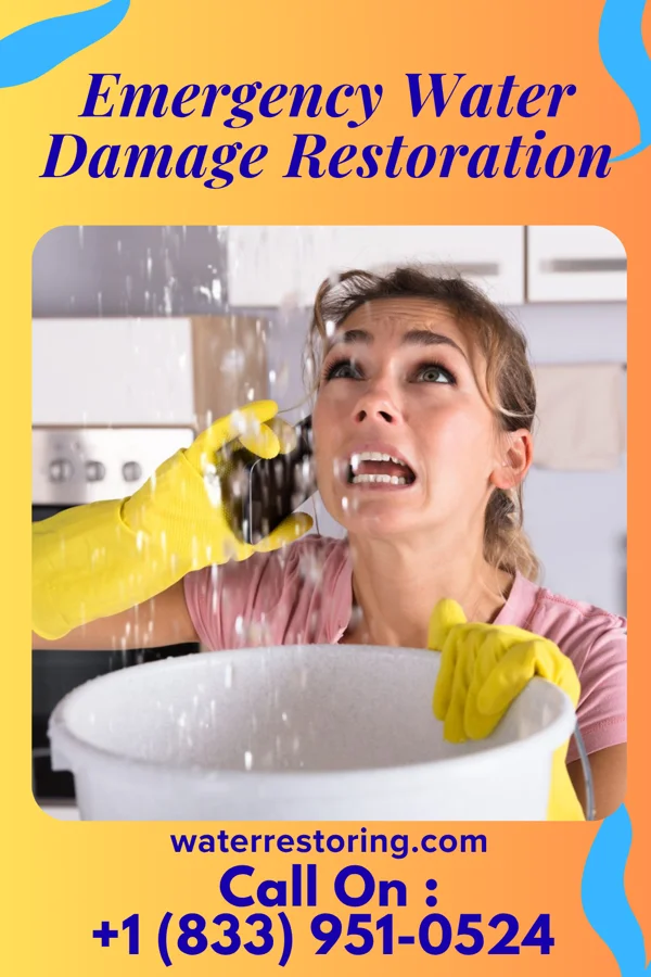 Emergency Water Damage Restoration in Niota, TN