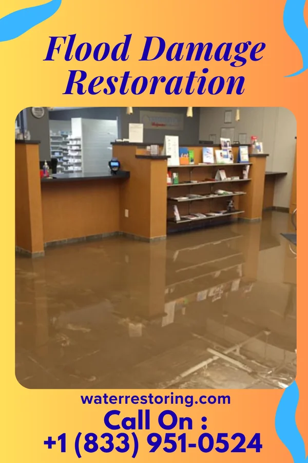 Flood Damage Restoration in Niota, TN
