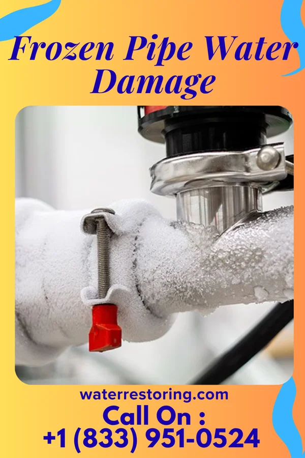 Frozen Pipe Water Damage in Niota, TN