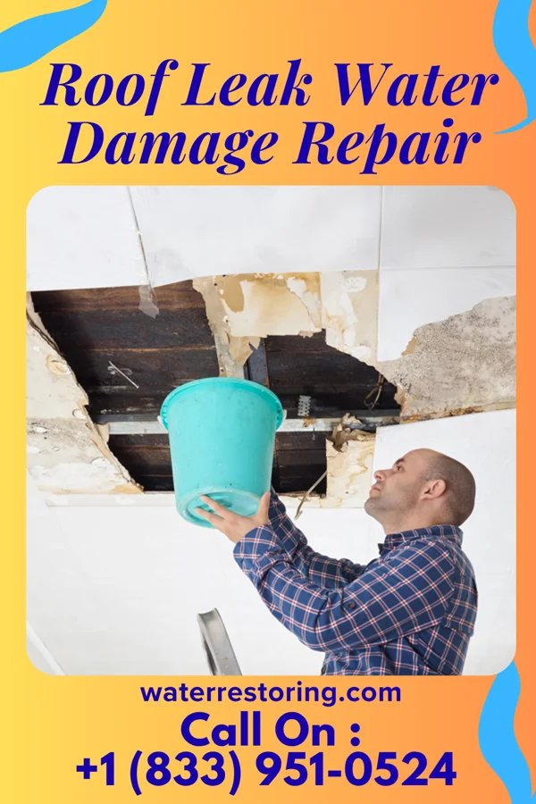 Roof Leak Water Damage Repair in Niota, TN