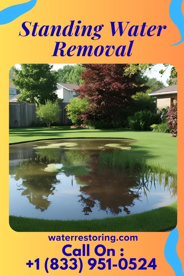 Standing Water Removal in Niota, TN